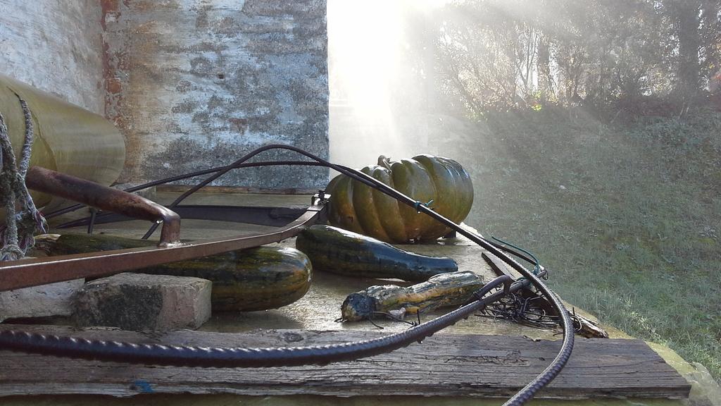 Villa Maria Bed & Breakfast, Corridonia, Marche Extérieur photo